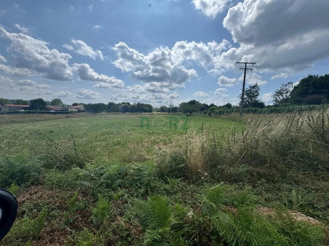 Land for sale in Vilamarin, Ourense photo 4