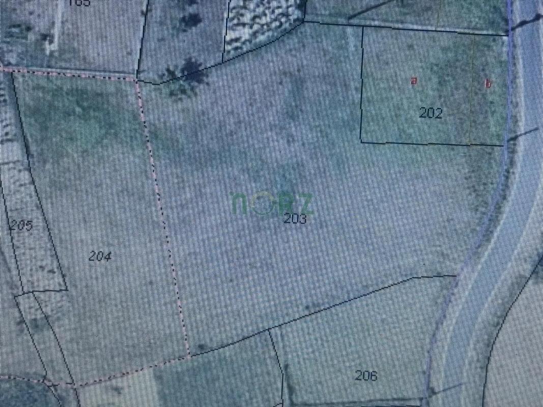Land for sale in Vilamarin, Ourense photo 5