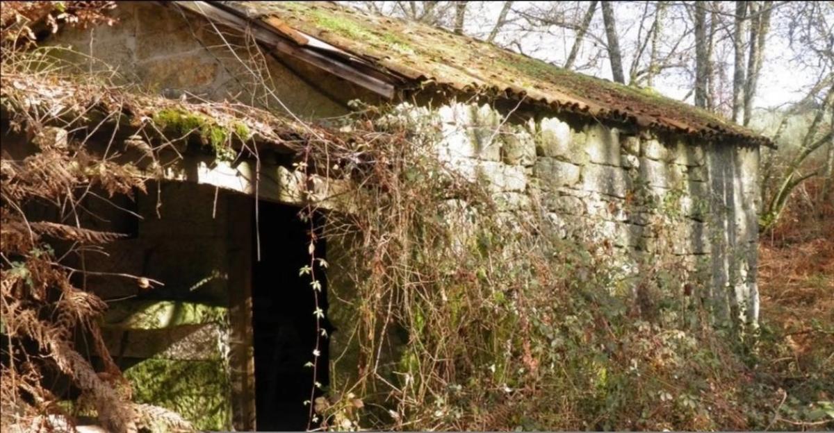 Terreno en venta en Amoeiro, Ourense photo 5
