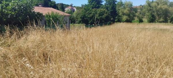 Terreno en camino de Loiro, 125 photo 2
