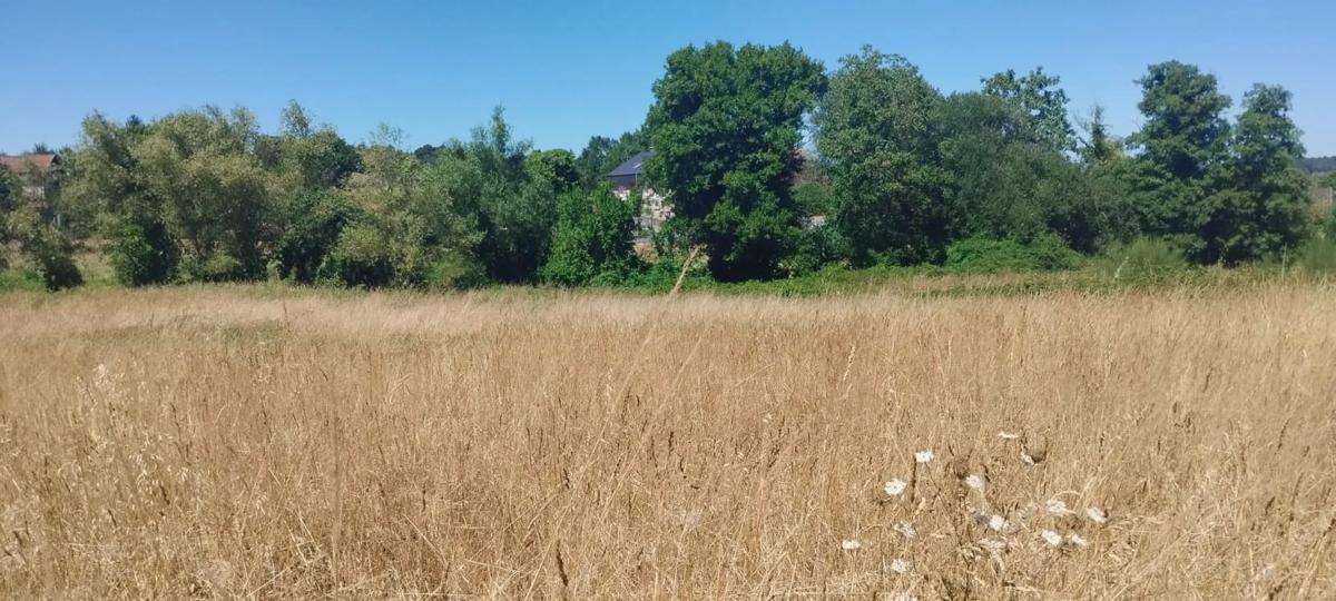 Terreno en venta en Barbadas, Ourense photo 4