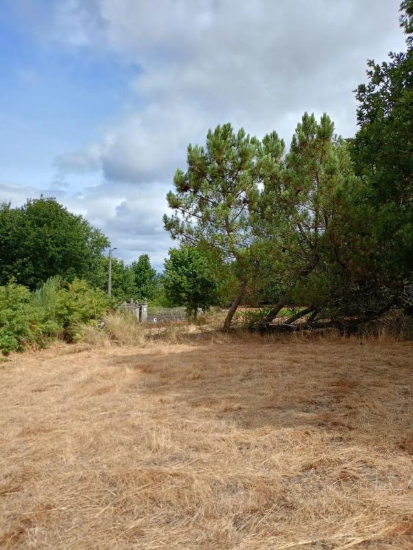 Terreno en venta en Amoeiro, Ourense photo 1