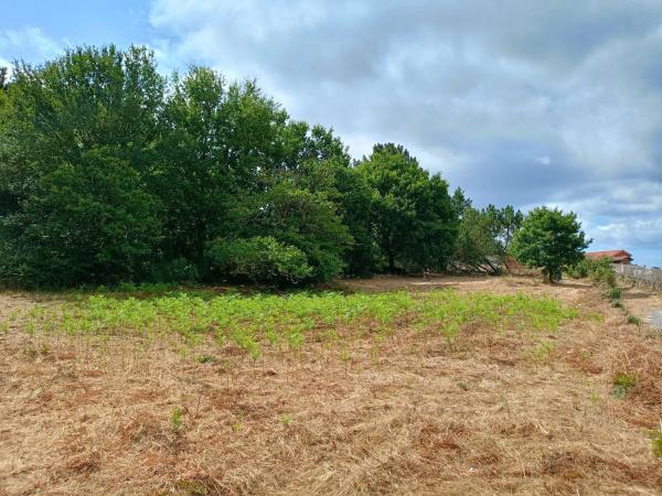 Terreno en Cima de Vila s/n thumbnail 1