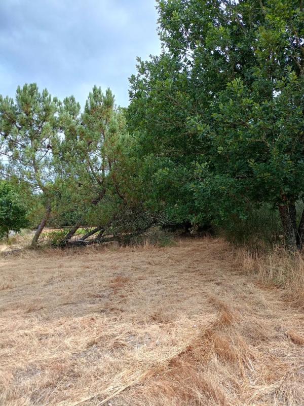 Terreno en venta en Amoeiro, Ourense photo 3