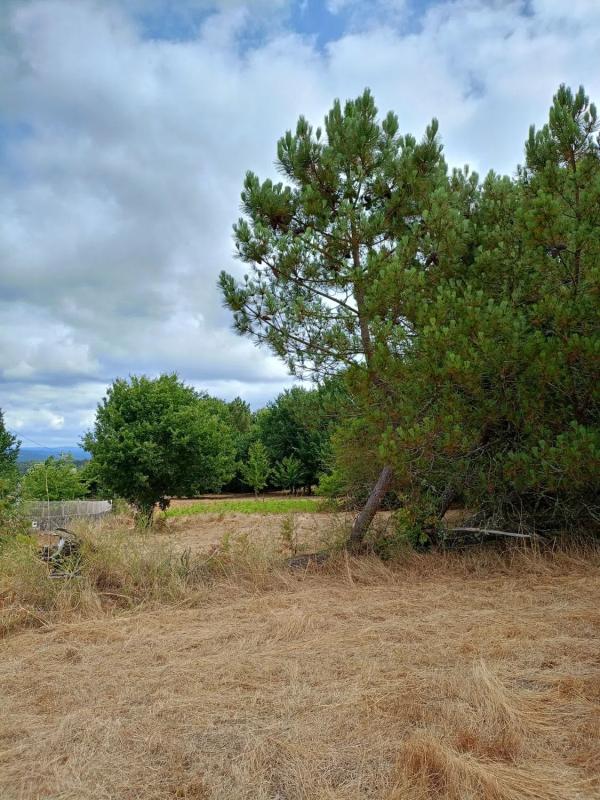 Terreno en venta en Amoeiro, Ourense photo 4