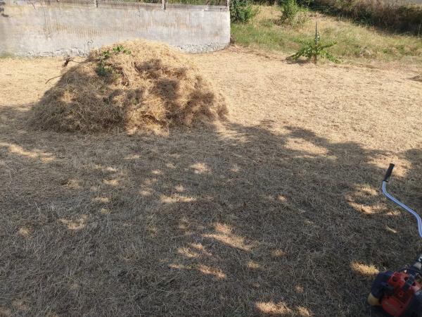 Terreno en Lugar Reboredo, 6 a photo 1