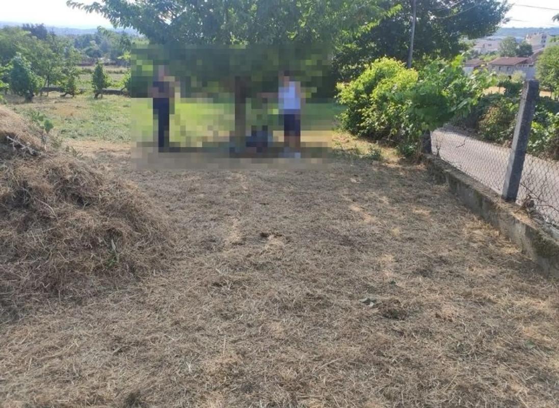 Działka na sprzedaż w San Cibrao das Viñas, Ourense photo 2