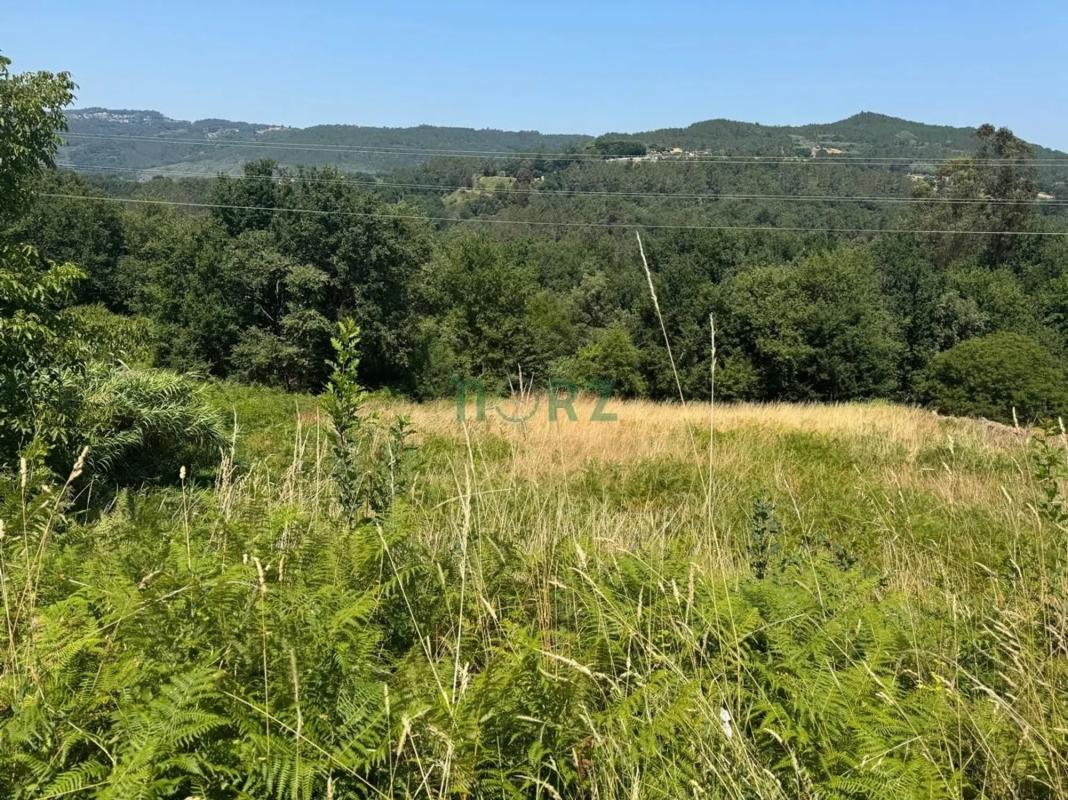 Terreno en venta en Pereiro de Aguiar, Ourense photo 4