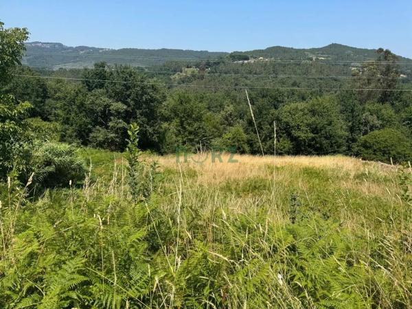 Terreno en Pereiro de Aguiar photo 4