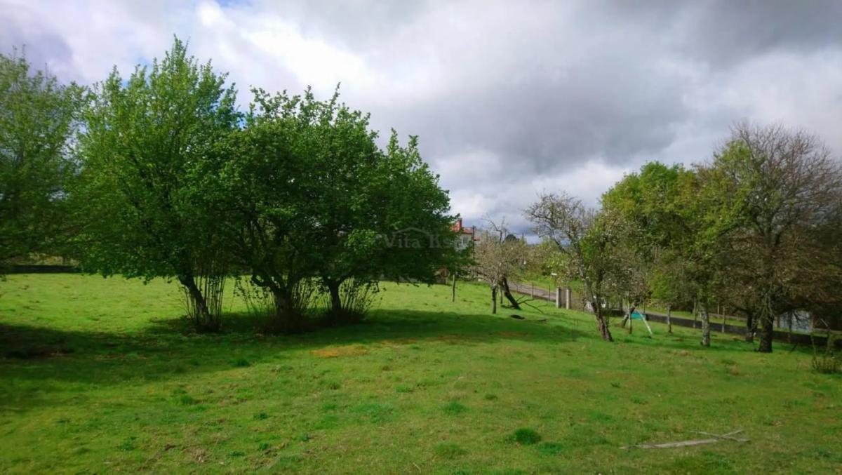 Land for sale in Vilamarin, Ourense photo 3