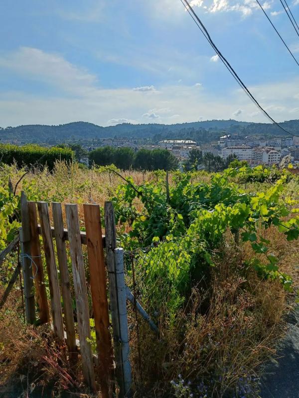 Land for sale in Barbados, Ourense photo 1