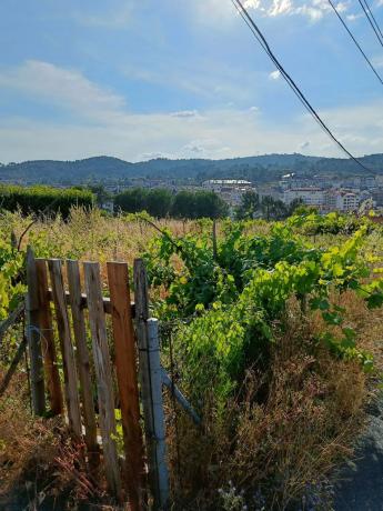 Terreno en calle da campina, 3 photo 1