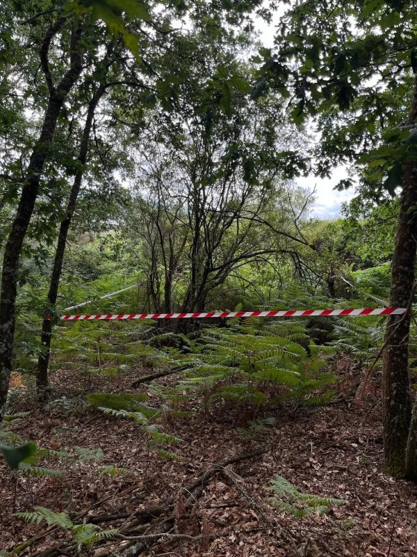 Terreno en venta en Pereiro de Aguiar, Ourense photo 5
