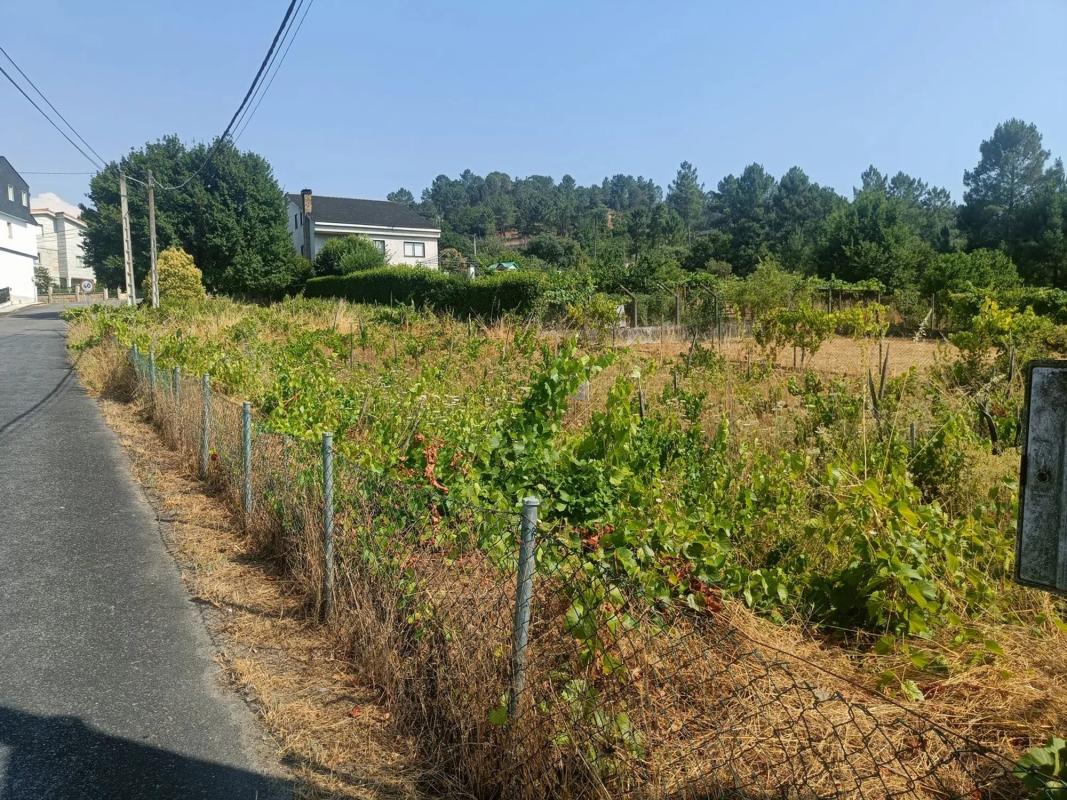 Land for sale in Barbados, Ourense photo 4