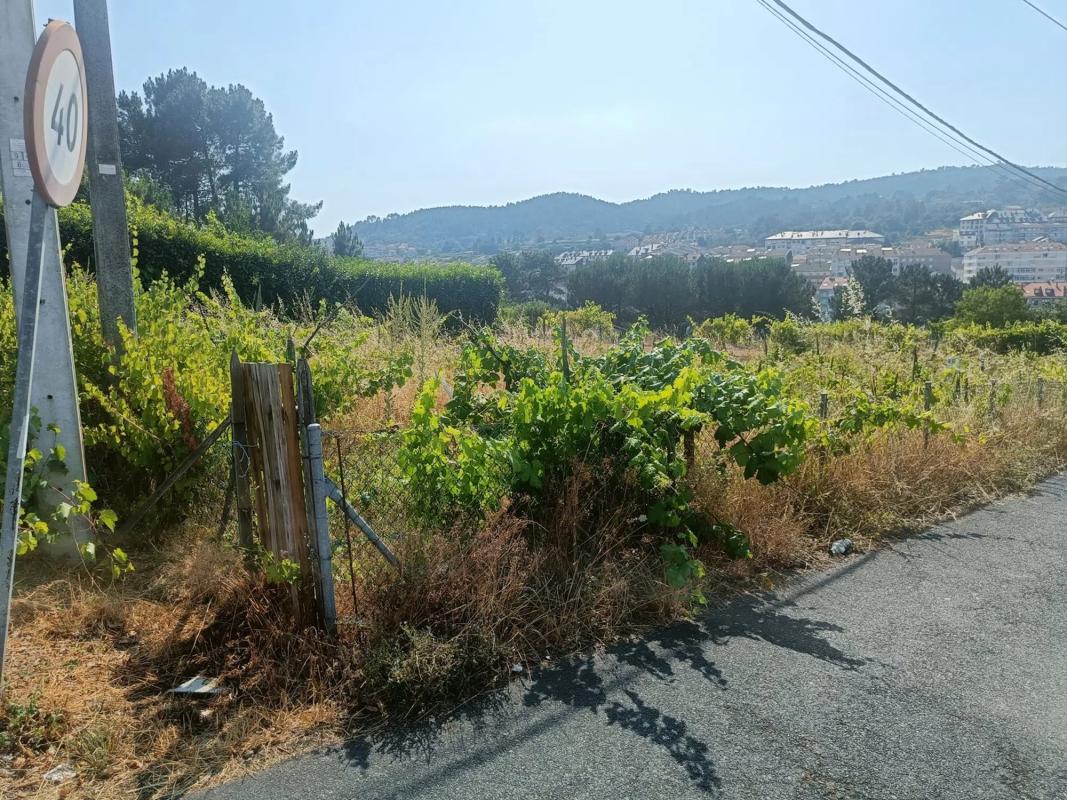Land for sale in Barbados, Ourense photo 5