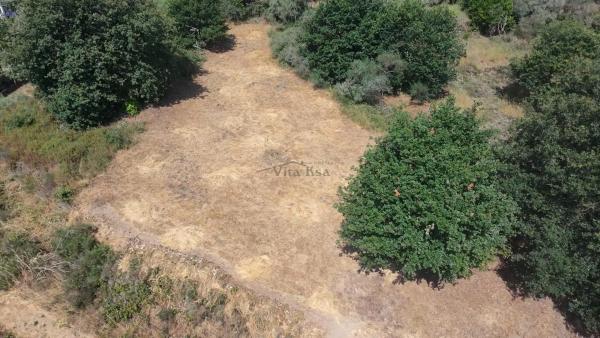 Terreno en Barbadas photo 3