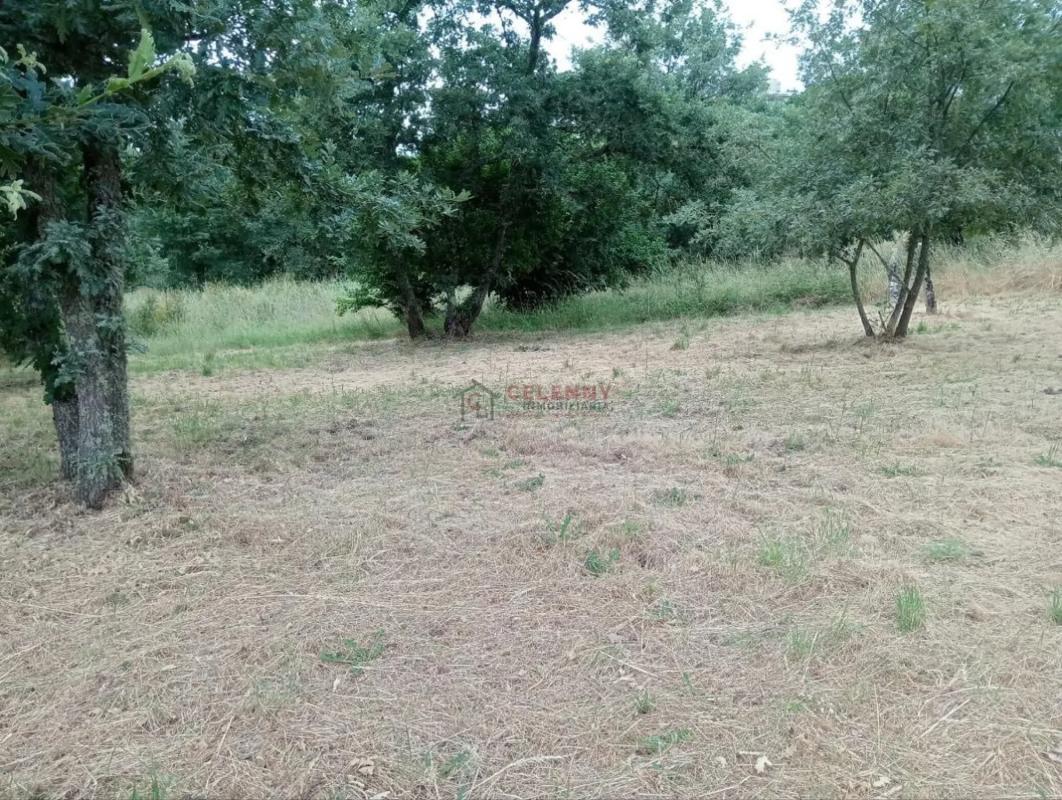 Land for sale in San Cibrao das Viñas, Ourense photo 1