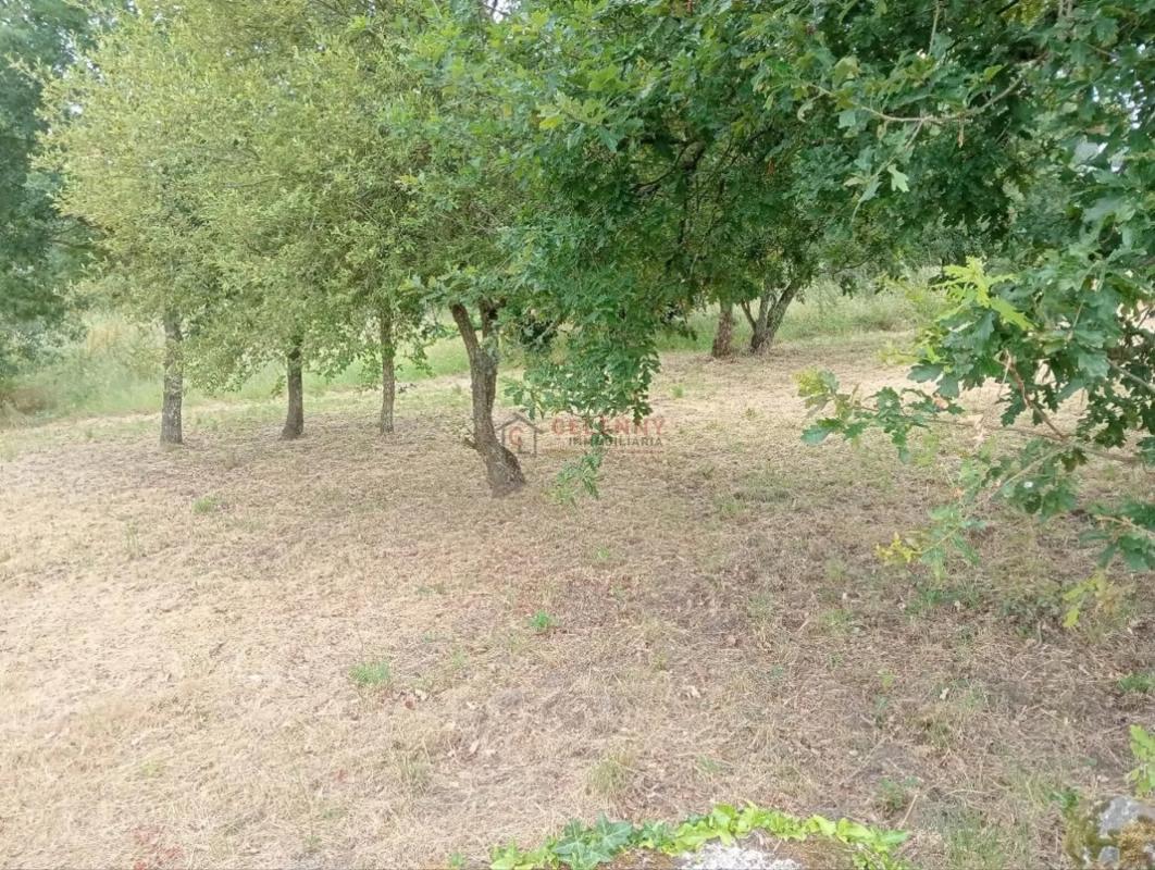 Land for sale in San Cibrao das Viñas, Ourense photo 2