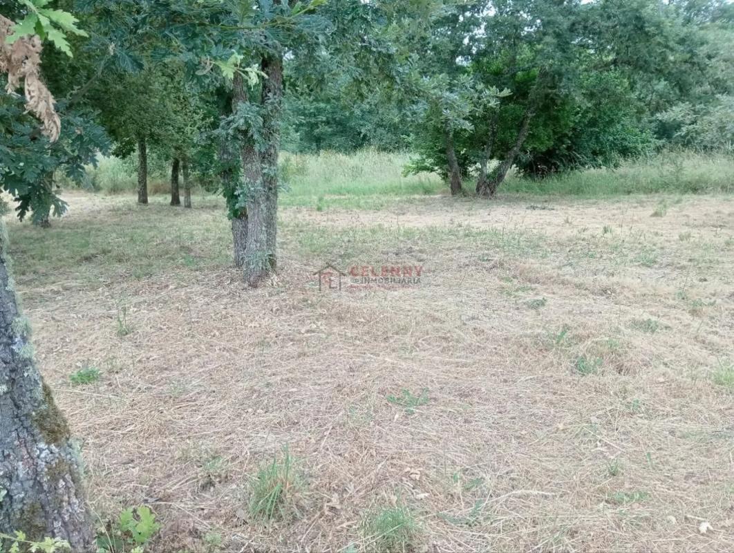 Land for sale in San Cibrao das Viñas, Ourense photo 3