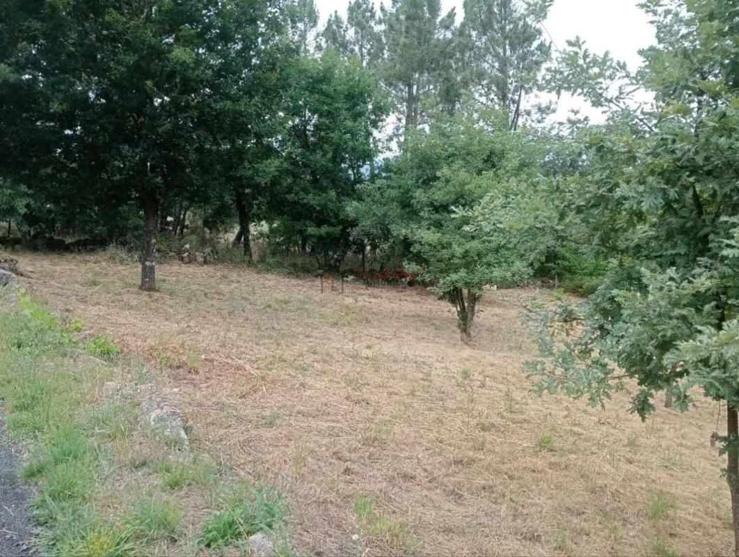 Land for sale in San Cibrao das Viñas, Ourense photo 4