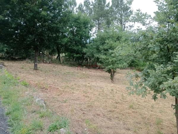 Terreno en San Cibrao das Viñas photo 4