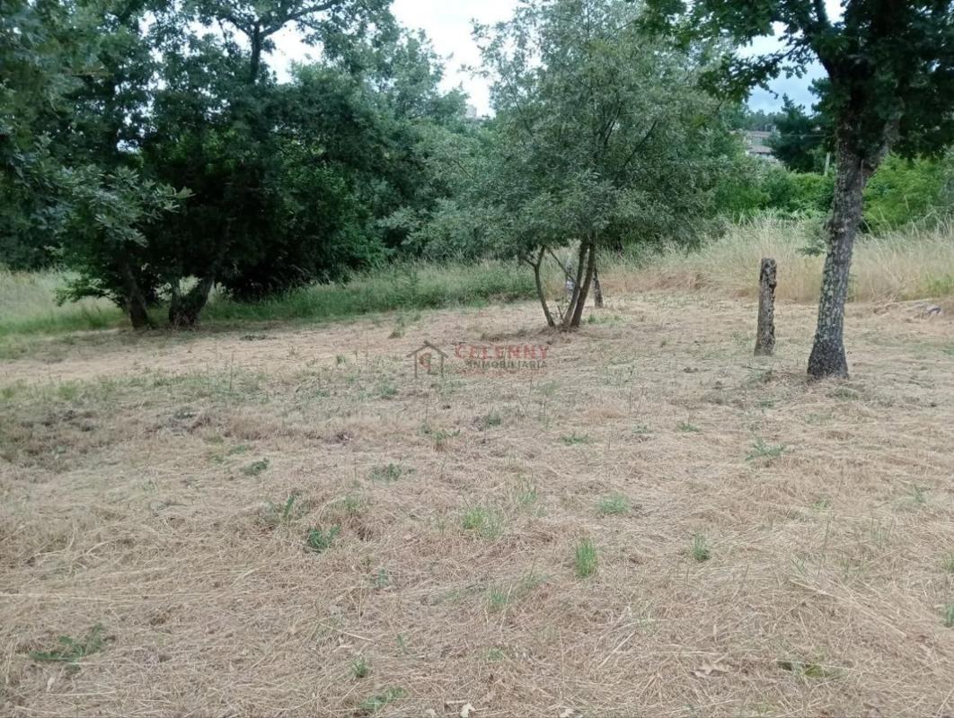 Land for sale in San Cibrao das Viñas, Ourense photo 5
