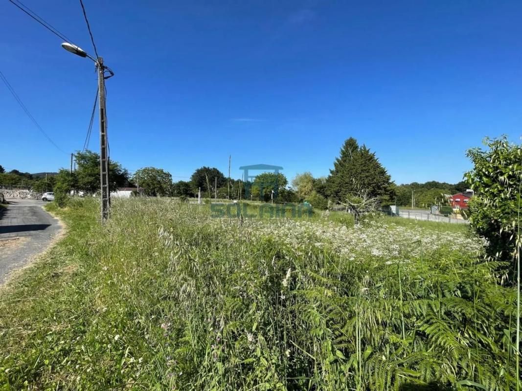 Land for sale in Coles, Ourense photo 1