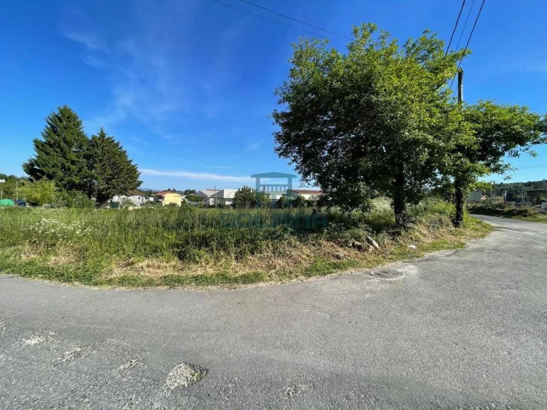 Land for sale in Coles, Ourense photo 4