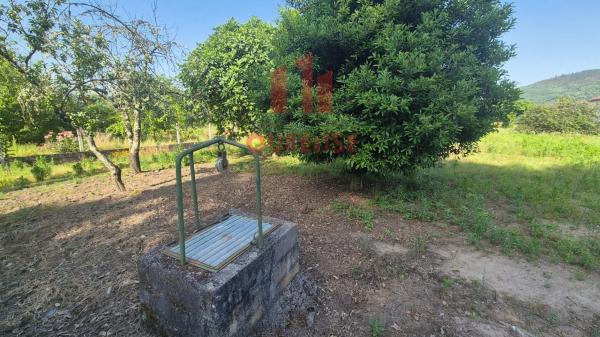 Terreno en Quintela - Los Pinos photo 4