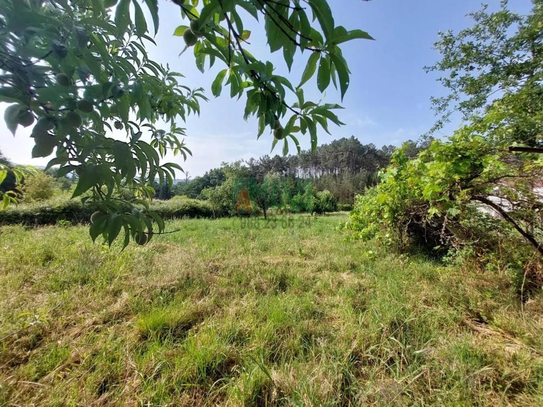 Terreno en venta en Coles, Ourense photo 3