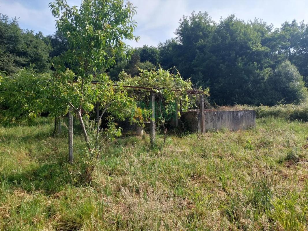 Terreno en venta en Coles, Ourense photo 4