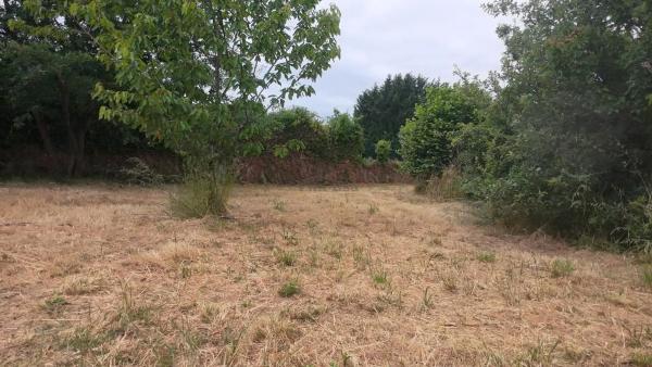 Terreno en Barbadas photo 1