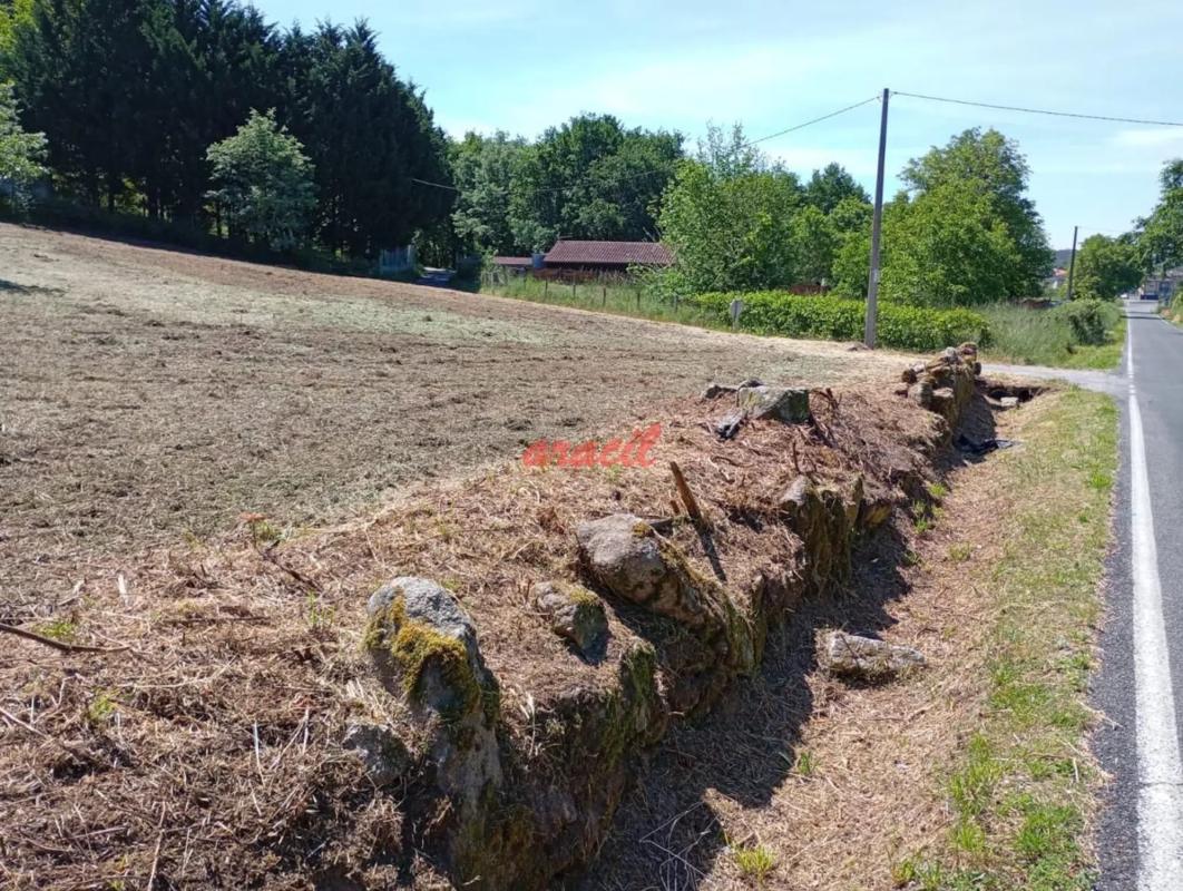 Участок земли на продажу в Перейру де Агурьар, Оренсе photo 3