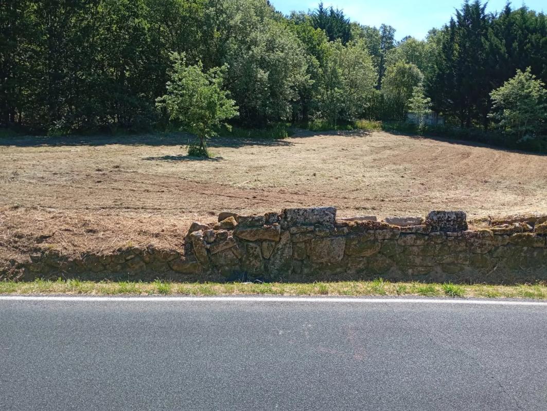 Terreno en venta en Nogueira de Ramuin, Ourense photo 2