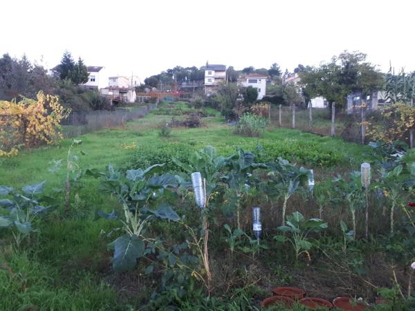 Terreno en calle Fonsillón, 13 photo 3