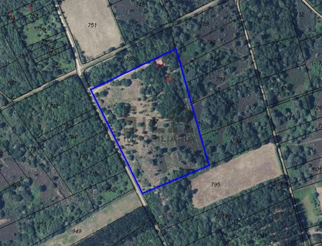 Terreno en venta en San Cibrao das Viñas, Ourense photo 1