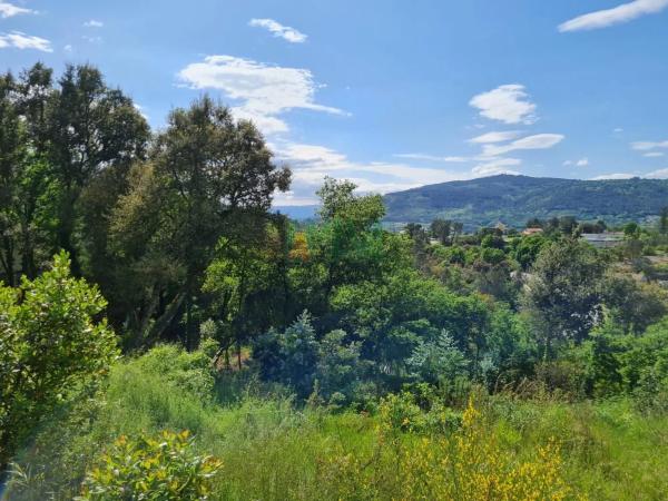Terreno en Vilar de Astrés - Palmés - Arrabaldo thumbnail 1