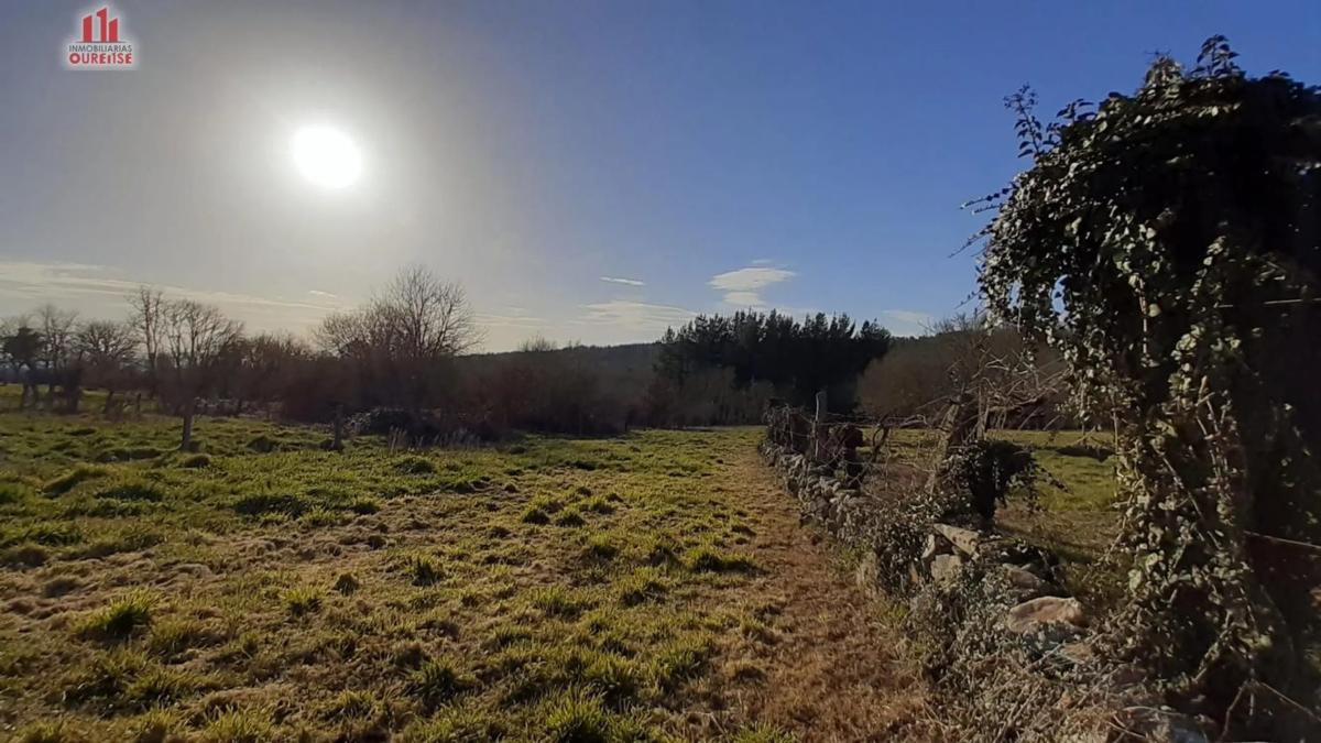 Terreno en venta en Pereiro de Aguiar, Ourense photo 1