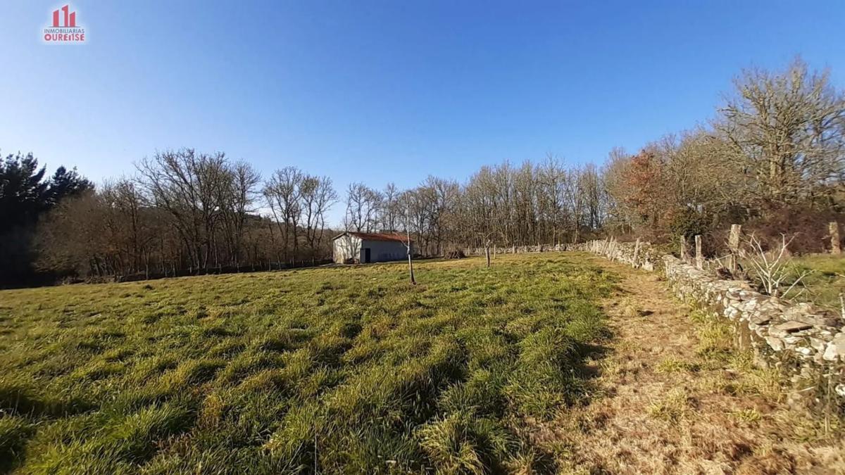 Terreno en venta en Pereiro de Aguiar, Ourense photo 3