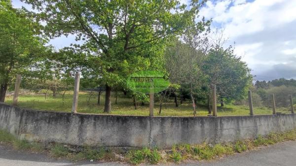 Terreno en Pereiro de Aguiar photo 1