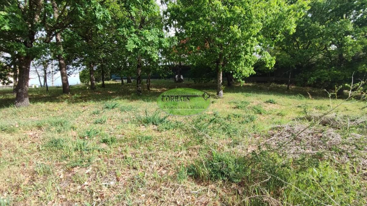 Участок земли на продажу в Перейру де Агурьар, Оренсе photo 2