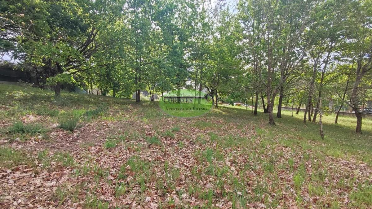 Участок земли на продажу в Перейру де Агурьар, Оренсе photo 3