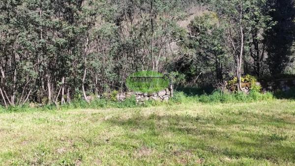 Terreno en Coles photo 3