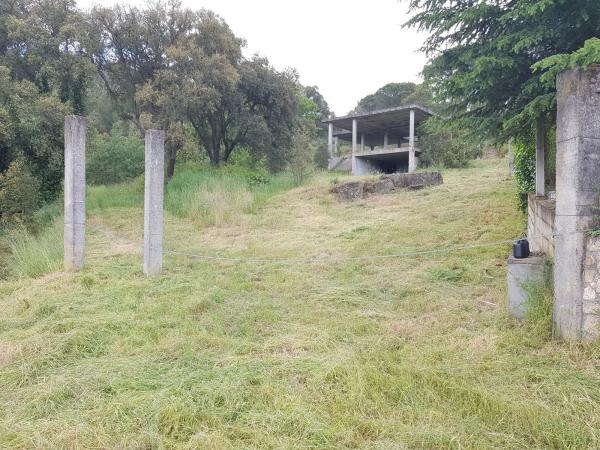 Terreno en camino a Pereira, km 1 photo 1