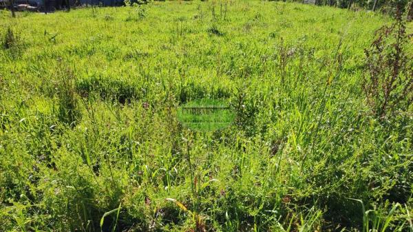 Terreno en Barbadas photo 2