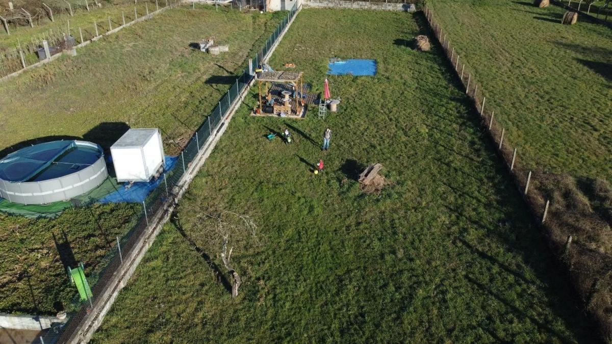Terreno en venta en San Cibrao das Viñas, Ourense photo 4