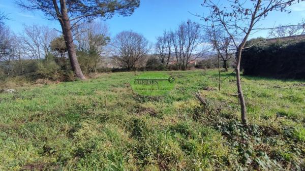 Terreno en Barbadas photo 3