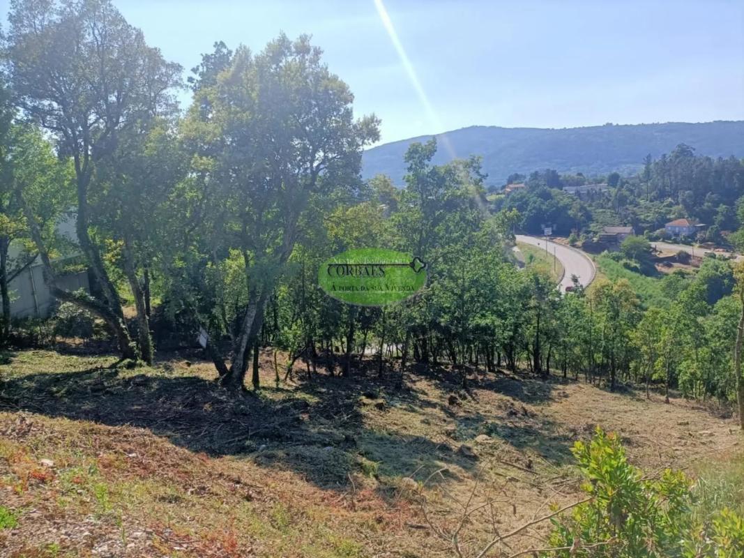 Działka na sprzedaż w Ourense, Ourense photo 2