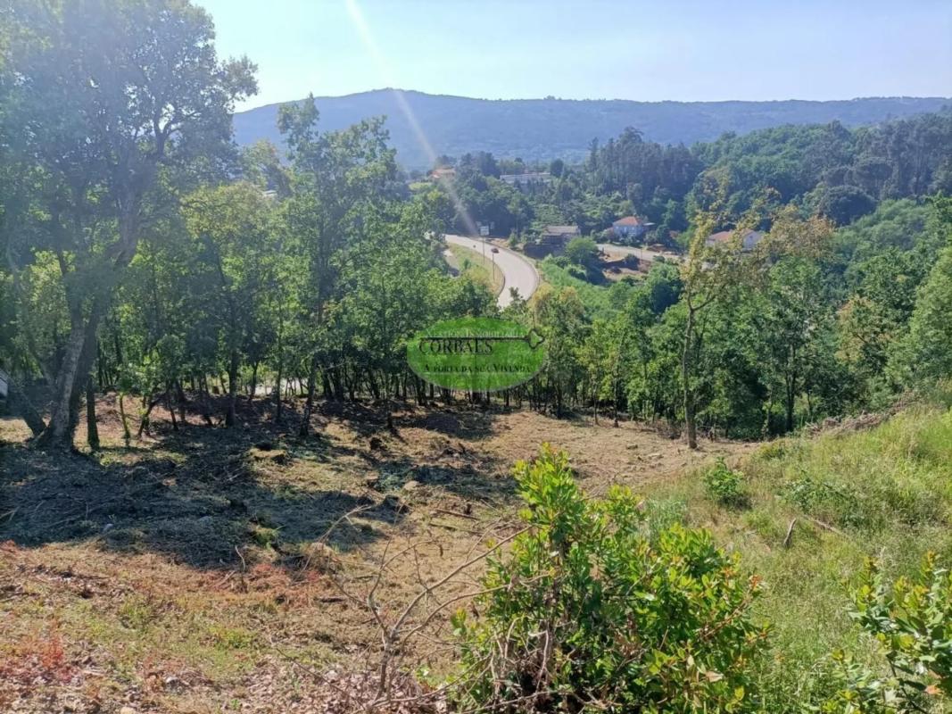 Działka na sprzedaż w Ourense, Ourense photo 3