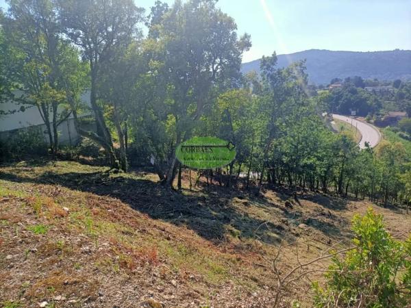 Terreno en Vilar de Astrés - Palmés - Arrabaldo photo 4
